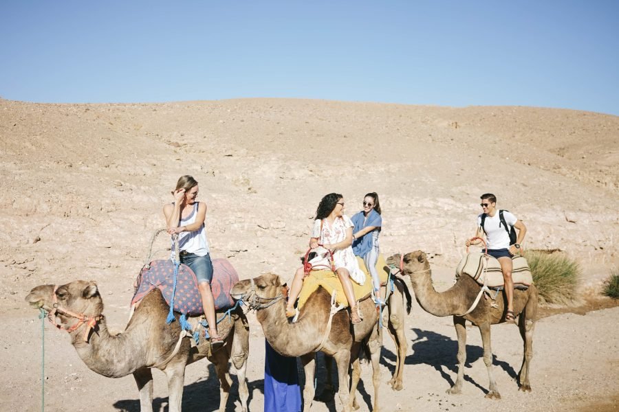 Agafay Buggy & Camel Ride with Sunset, Dinner & Show