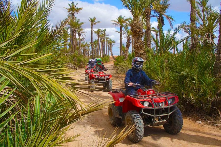 Quad Bike & Camel Ride in Palmeraie